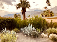 Palm Springs009